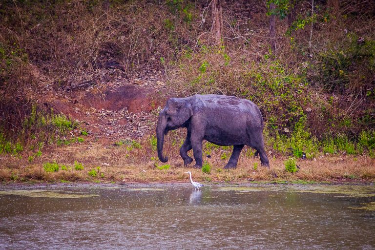 Balpakram National Park